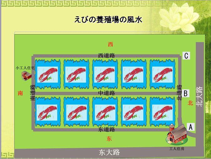 「えびの養殖場の風水」と書かれたスライド